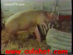 A cock-deprived girlfriend uses a beast to cheat on her partner.